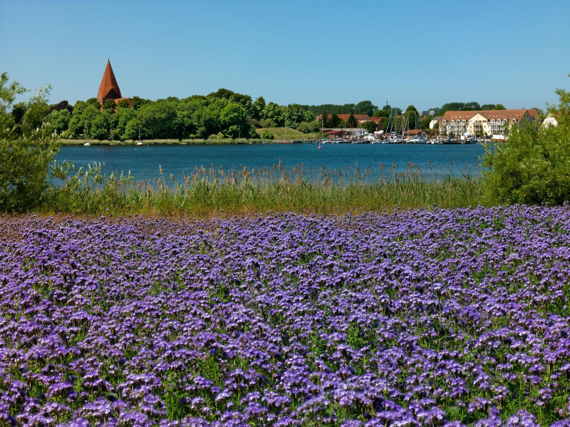 Daenisches Ferienhaus Kaltenhof Екстер'єр фото